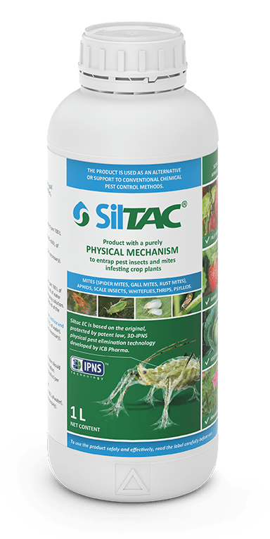 Siltac - bottle