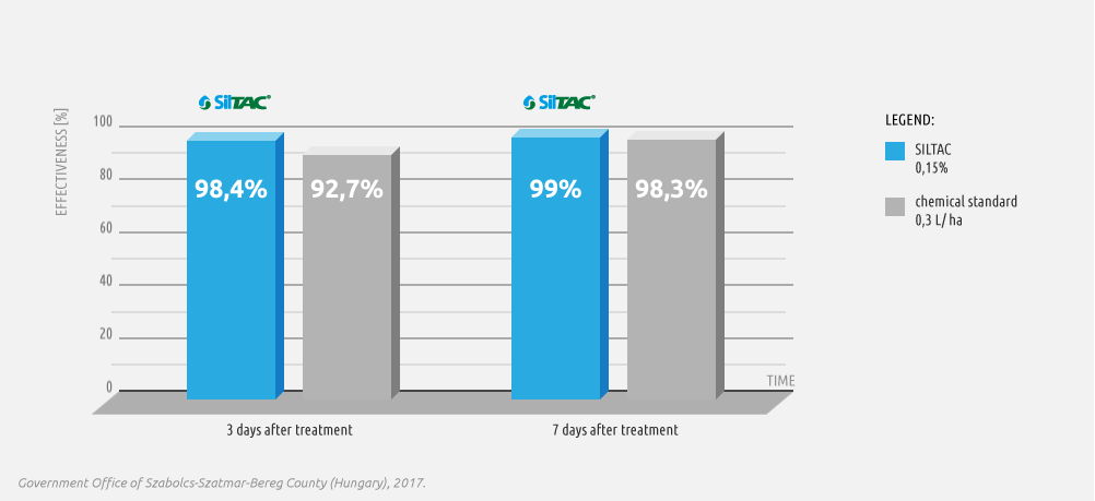 Effectiveness of Siltac in controlling cabbage aphid (Brevicoryne brassicae) on cabbage - chart